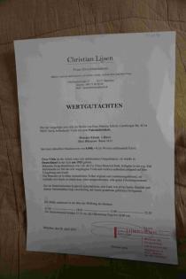 Schöne französische Meisterviola zu verkaufen