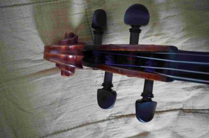 Schöne französische Meisterviola zu verkaufen